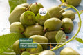 50 Issai Kiwi Seeds – Cold Hardy Actinidia arguta Superfruit Vine for Edible Landscaping & Vertical Gardening
