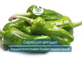 Pepperoncini Italian Sweet Pepper Seeds 250mg | Capsicum annuum Heirloom Mild Pepper for Pickling & Culinary Use