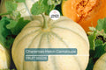 Charentais Melon Seeds - Organic Heirloom French Cantaloupe, Non-GMO, Sweet & Fragrant, Rare Garden Fruit, Compact Melon Seeds