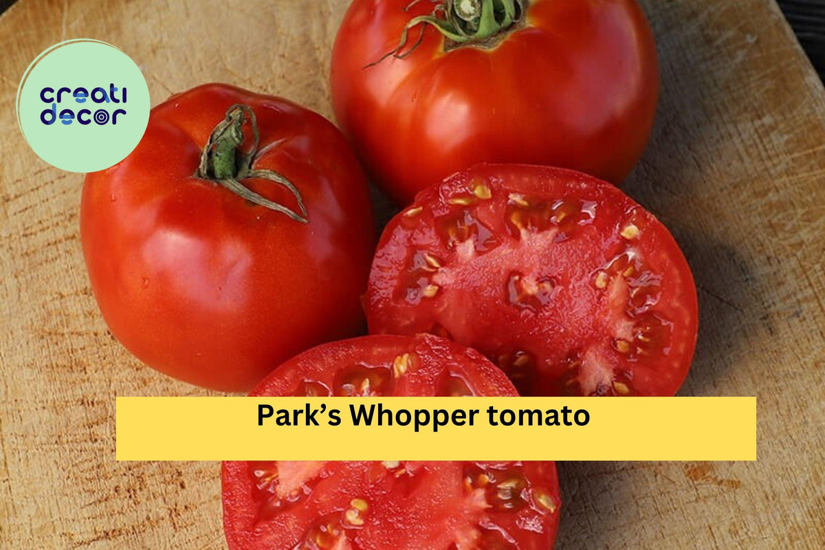 Park’s Whopper Tomato Live Plants – 2 Pack, Hybrid Red Fruit Vegetable Garden Plants, Solanum lycopersicum