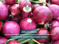 Red Onion Seeds 250mg Allium cepa Heirloom for Gardening & Cooking