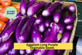 3pcs Long Purple Eggplant Seeds – Heirloom Solanum melongena, Slim Deep Purple Fruits for Grilling & Stir-Fries