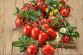 Roma Tomato Seeds – 30 Pack, Paste Tomato, Meaty Flesh, Canning & Sauce, Solanum lycopersicum