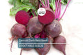 250 Detroit Dark Red Beet Seeds – Non-GMO Heirloom Vegetable Seeds for Root & Greens | Full Sun, Organic Gardening