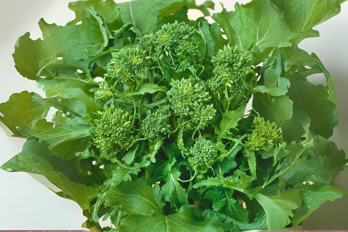 150 Broccoli Raab Seeds | Italian Heirloom Rapini Greens | Brassica rapa subsp. rapa Vegetable Seeds