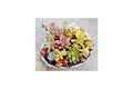 Assorted Rosette Succulent Cuttings - Colorful Unrooted Collection for Propagation and Decorative Arrangements