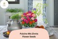 Pulcino Mix Zinnia Seeds – Dwarf Zinnia elegans for Pollinator Gardens, Bright Colorful Blooms, Easy to Grow Annual