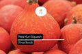Red Kuri Squash Seeds – Heirloom Cucurbita maxima for Roasting, Baking & Soups – Nutty Flavor, Vibrant Red-Orange Skin