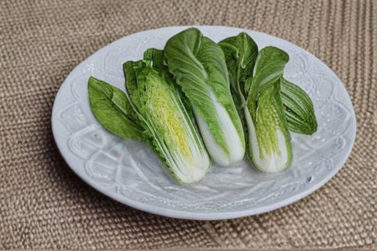 Chinese Heading Cabbage Michihli Seeds | Napa-Type Brassica rapa subsp. pekinensis | Tall Barrel-Shaped Heads, Crisp & Mild Flavor
