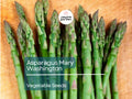 Asparagus Seeds 1g - Mary Washington Heirloom Non-GMO Perennial Vegetable - Tender Green Stalks - Asparagus officinalis