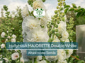 Hollyhock Seeds Dwarf Double White Alcea rosea Non-GMO 50 Pack for Garden, Flower Bed, Container, Memory Garden
