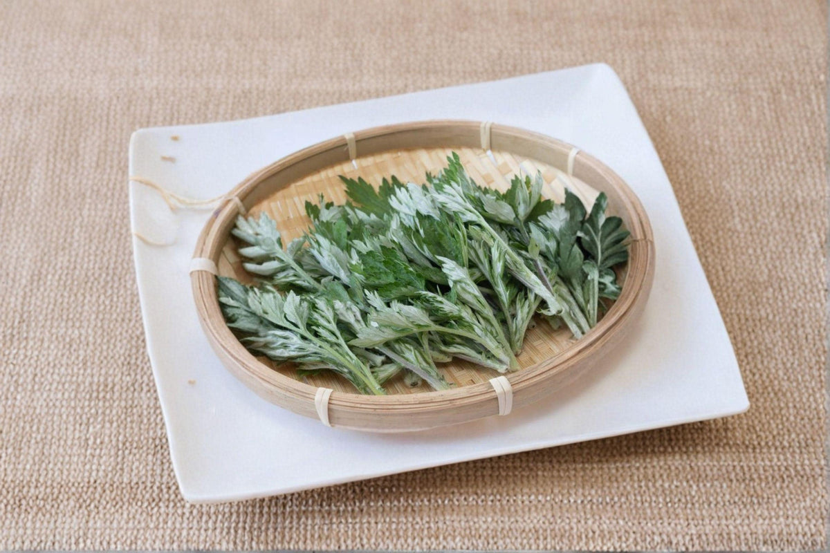 Japanese Mugwort Seeds – Yomogi Herb, Artemisia princeps, Aromatic Perennial for Culinary & Medicinal Use