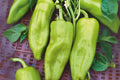 Cubanelle Sweet Pepper Seeds | Heirloom Non-GMO Capsicum annuum for Sautéing, Stuffing, and Salads