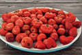 Heirloom Tomato Seeds VR Moscow – Red, Round, Slicing, Compact, Garden Vegetable, Solanum lycopersicum, 100mg
