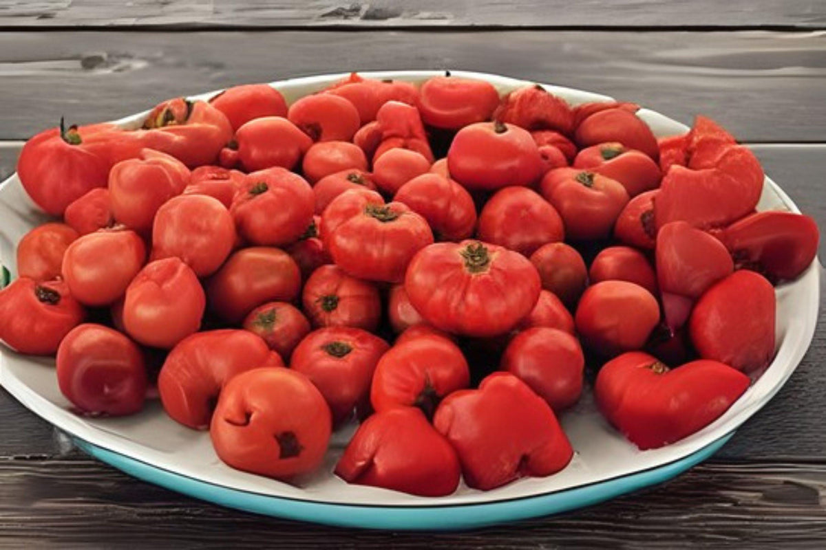 Heirloom Tomato Seeds VR Moscow – Red, Round, Slicing, Compact, Garden Vegetable, Solanum lycopersicum, 100mg