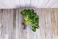 Pak Choi Tatsoi Seeds | Asian Leafy Green | Cold-Hardy, Fast-Growing Brassica rapa subsp. narinosa