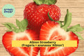 Albion Strawberry Roots – Bare Root Day-Neutral Everbearing Fragaria × ananassa ‘Albion’ for Garden or Container Cultivation