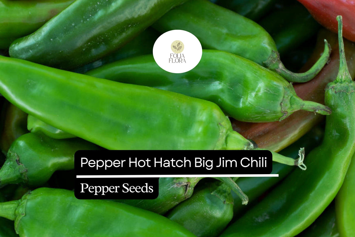 Hot Hatch Big Jim Chili Pepper Seeds – 300mg Non-GMO Capsicum annuum for Roasting, Salsas, Stuffing, Mild-Medium Heat