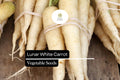 200 Seeds Lunar White Carrot Daucus carota Heirloom Sweet White Roots for Fresh Eating & Cooking