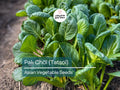500mg Pak Choi Tatsoi Seeds – Heirloom Non-GMO Asian Greens for Stir-Fries, Salads & Garden Vegetables