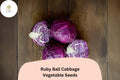 Bulk Ruby Ball Cabbage Seeds – Heirloom Brassica oleracea, Red, Compact, Cool-Season Vegetable, 500+ Seeds
