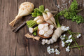 Japanese Minowase Daikon Radish Seeds | Long White Roots, Mild & Crisp | Raphanus sativus var. longipinnatus, Asian Vegetable Garden