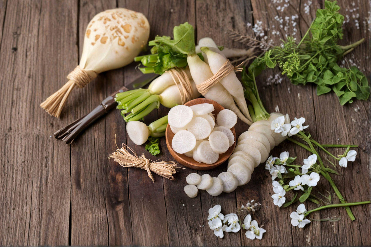 Japanese Minowase Daikon Radish Seeds | Long White Roots, Mild & Crisp | Raphanus sativus var. longipinnatus, Asian Vegetable Garden