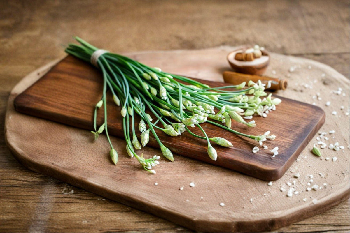 Garlic Chives Seeds 100 Pack | Asian Culinary Herb | Allium tuberosum | Perennial Herb for Cooking & Garden