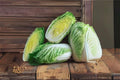 Chinese Cabbage Matsushima Seeds – Brassica Rapa Pekinensis, Compact Green Heads, Asian Green, Heirloom, 150 Pack