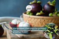 Mangosteen Tree 6-inch Exotic Tropical Fruit Plant Garcinia mangostana Queen of Fruits