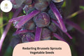 500+ Redarling Brussels Sprouts Seeds | Brassica oleracea var. gemmifera | Red-Stem Hybrid Sprouts | Bulk Garden Seeds