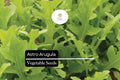 300 Seeds Astro Arugula Organic Salad Green, Eruca vesicaria, Fast-Growing, Mild Flavor, Bolt-Resistant