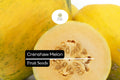 20 Seeds Crenshaw Melon (Cucumis melo) Hybrid Sweet Juicy Aromatic Fruit for Home Gardens