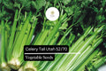 Celery Seeds 500 Count Tall Utah 52/70 Apium graveolens Heirloom Crisp Sweet for Gardens & Containers