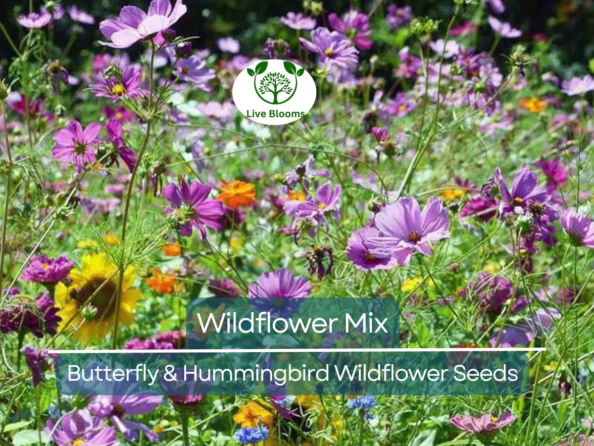 Wildflower Seed Mix 1000 Heirloom Non-GMO Pollinator-Friendly Attracts Bees Butterflies Hummingbirds