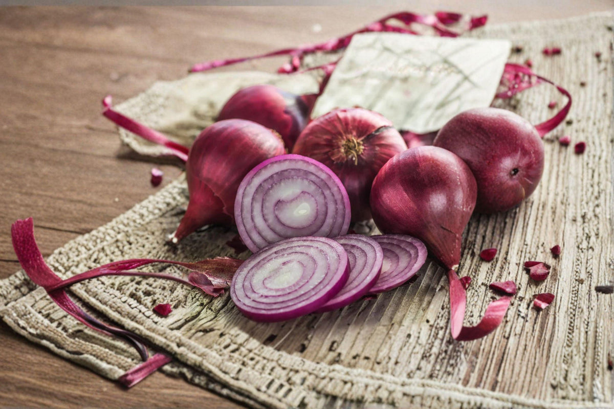Red Burgundy Onion Seeds – Short-Day, Sweet Red Allium cepa for Southern Gardens, 70 Seeds