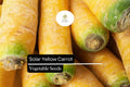 200 Solar Yellow Carrot Seeds – Heirloom Daucus carota with Bright Golden Roots for Fresh Eating, Juicing, and Cooking