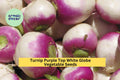 3pcs of 1g Purple Top White Globe Turnip Seeds – Brassica rapa Root Vegetable for Fall & Spring Gardens