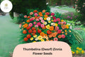 Thumbelina Dwarf Zinnia Seeds – 100+ Non-GMO Annual Flowers for Borders, Containers & Garden, Zinnia elegans, Mixed Colors