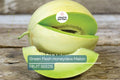 Honeydew Melon Seeds – Non-GMO, Green Flesh, Vining, Cucumis melo, Summer Fruit, Full Sun, 105 Days to Maturity