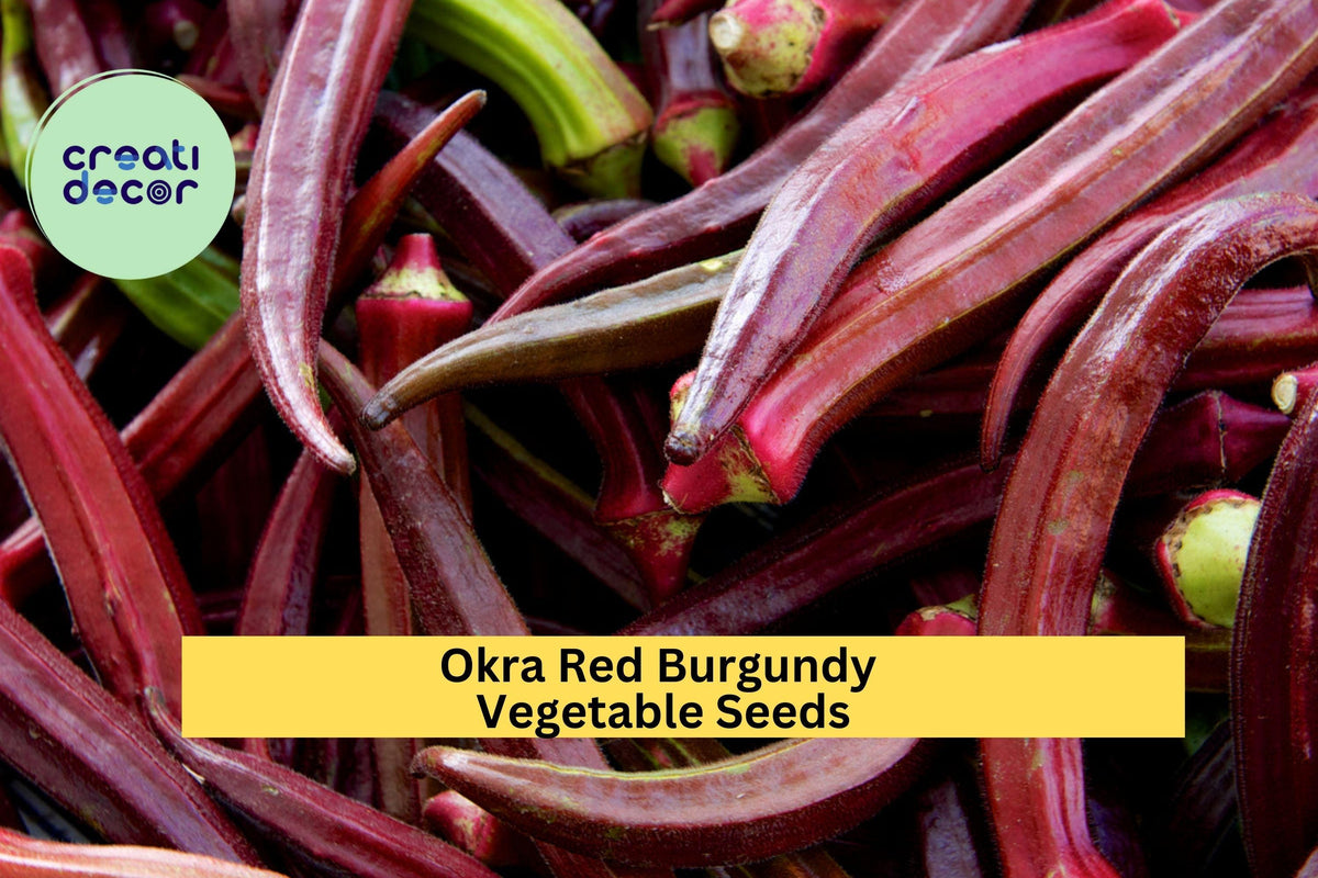 Red Burgundy Okra Seeds – 3 Packs of 1g Heirloom Seeds for Garden Beds, Containers, Cooking, Abelmoschus esculentus