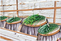 Flowering Chinese Leek Seeds | Edible Allium tuberosum | Asian Herb & Pollinator Plant | Perennial Herb for Culinary & Garden