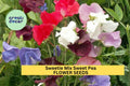 50+ Sweetie Mix Sweet Pea Seeds – Compact Fragrant Blooms for Garden Planting, Dwarf Vines for Borders & Pots – USA