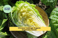 Chinese Cabbage Seeds – Kogane, Brassica rapa subsp. pekinensis, 3 Pack, Crisp Green Leaves & White Stalks for Garden Beds & Containers
