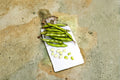 Fava Bean Seeds | Cool-Season Legume | High Protein, Heirloom Vicia faba, Easy to Grow