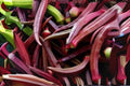 Red Burgundy Okra Seeds – Heirloom Abelmoschus esculentus, Edible & Ornamental Deep Red Pods, 15 Premium Seeds for Garden Planting