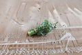 Broccoli Seeds | Di Cicco Italian Heirloom | Cut-and-Come-Again, Cold Tolerant, Early Maturity | Brassica oleracea