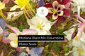 McKana Giant Mix Columbine Seeds | Aquilegia caerulea | Colorful, Long-Lasting Blooms for Gardens, Borders & Pollinator Attraction