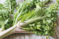 Chinese Cabbage Kogane Seeds – Asian Napa-Type, Compact, Sweet & Crisp, Brassica rapa subsp. pekinensis, 150 Seeds
