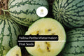 Yellow Petite Watermelon Seeds – Small, Sweet, Yellow-Fleshed Citrullus lanatus for Containers and Gardens